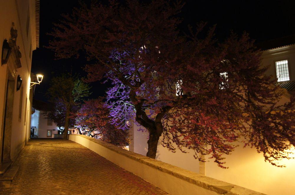 Pousada Conde de Ourém Extérieur photo